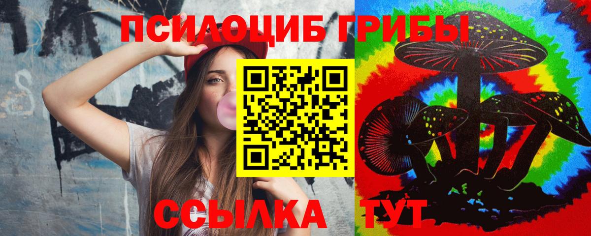 Галлюциногенные грибы Psilocybine cubensis Ейск
