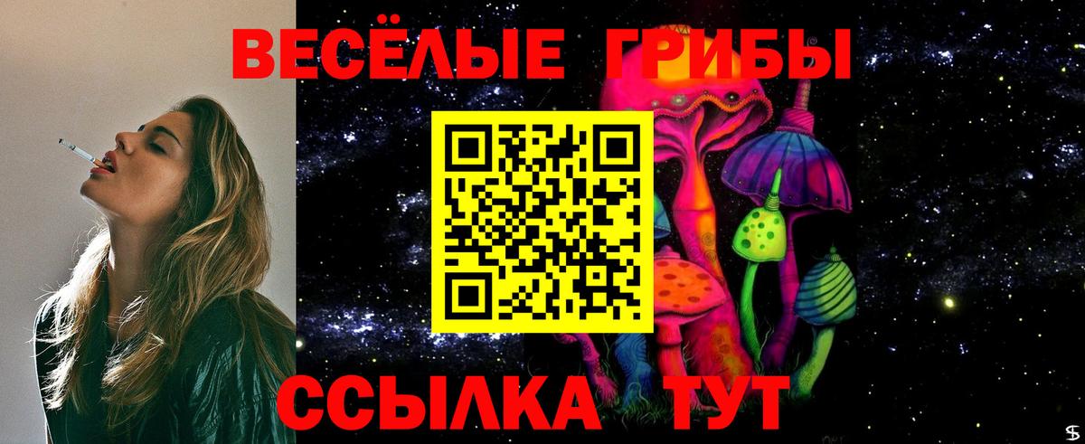 Ейск  Псилоцибиновые грибы прущие грибы  где найти наркотики  Вход с VPN 